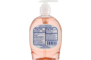 CareOne Antibacterial Hand Soap Light Moisturizing