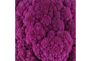 Капуста цвітна фіолетова Лавандер