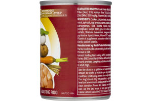 Purina ONE Smartblend Classic Ground Dog Food Chicken & Brown Rice Entree