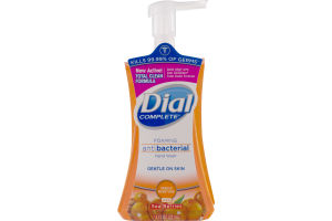 Dial Complete Foaming Antibacterial Hand Wash Sea Berries