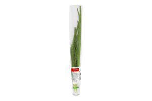 Цибуля зел. свіжа Marka Promo пучок 50г