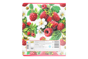 Зошит Фемілі Лайн Ароматний клітинка 48аркушів Тетрада