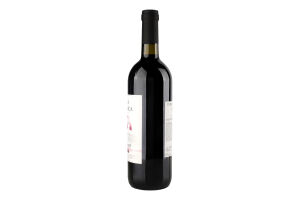 Вино 0.75л 13% красное сухое IGT Каберне Puglia Terra Italianica бут