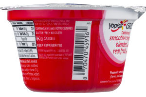 Yoplait Fat Free Greek Yogurt Blueberry