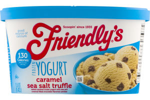 Friendly's Frozen Yogurt Caramel Sea Salt Truffle
