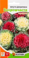 Насіння Капуста декоративна бахромчаста 0,2г Яскрава