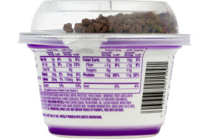 Dannon Light & Fit Greek Crunch Nonfat Yogurt Caramel Fudge Pretzel