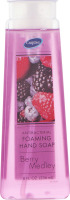 CareOne Antibacterial Foaming Hand Wash Berry Medley