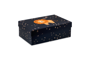 Коробка подарункова Чаріна країна 23*16*8,5см НК-83 Екстрафікс