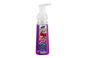 CareOne Antibacterial Foaming Hand Soap Apple Berry