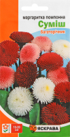 Насіння Квіти Маргаритка помпонна суміш 0,1г Яскрава