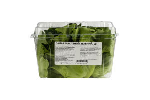Салат Пучок-Свіжачок Масляний зелений