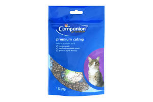 Companion Catnip