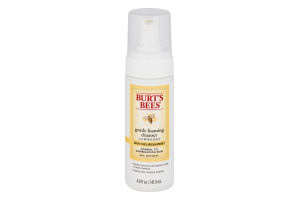 Burt's Bees Gentle Foaming Cleaner With Royal Jelly