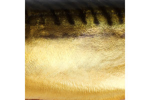 Скумбрія б/г холодного копчення ваг