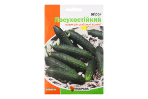 Насіння Огірок Посухостійкий 5г Яскрава