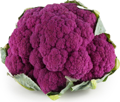 Капуста цвітна фіолетова Лавандер