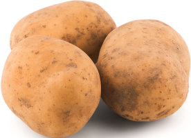 Картопля Рів'єра біла