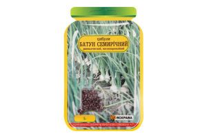 Насіння Цибуля Батун семирічна інкрустоване 1г Яскрава