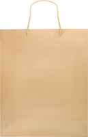 Пакет подарочный золото 26х32х10см №CSPB011 Greenwich Products Co. Limited 1шт