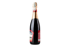 Вино ігр ArtWinery Артемівське Малевич черв н/сол