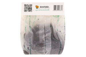 Цибулина Бегонія Червоний каскад звисаюча Яскрава