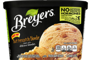 Breyers Frozen Dairy Dessert Butterscotch Blondie
