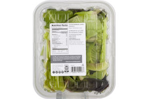 Earthbound Farm Organic Red Romaine Leaves