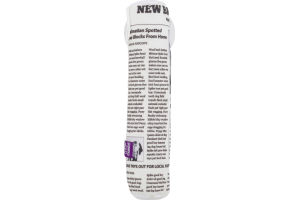 Companion Dog Toy Newspaper