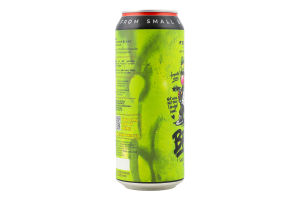 Пиво Brat Sauvignon Blanc Grape Ale світле нефільтроване 7,5% 0,5л ж/б Forever
