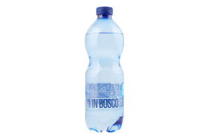 Вода мінеральна Bosco 0,5л ПЕТ газ. (Італія)