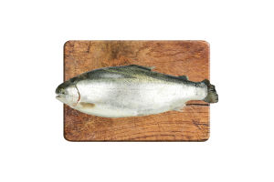 Форель 4+ охлажденная LS