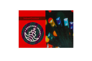 Гірлянда USB 100LED мультиколір 8режимів з пультом