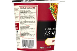 Dr. McDougall's Organic Asian Noodles Spicy Kung Pao