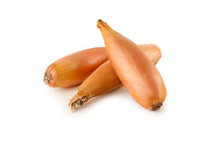 Цибуля шалот бананова