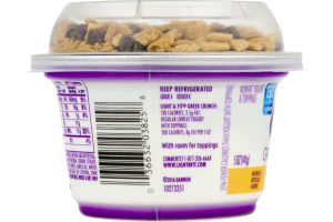 Dannon Light & Fit Greek Crunch Nonfat Yogurt S'mores