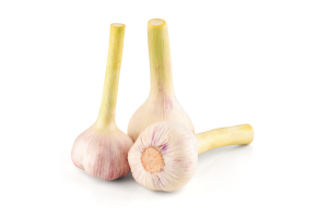 Чеснок молодой