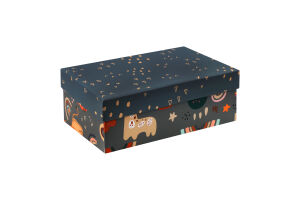 Коробка подарункова Чарівна країна 24,5*17*9см НК-83 Екстрафікс
