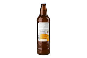 Пиво Primator Weizenbier 0,5л x20