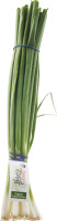 Nature's Promise Organic Green Onion