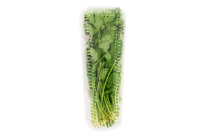 Кінза свіжа 50г блістер