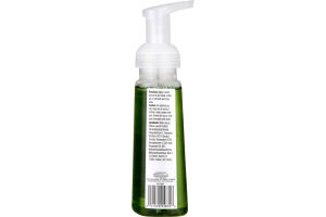 CareOne Foaming Hand Soap Mistletoe Kisses