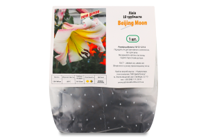 Цибулина Лілія ЛО Бейджінг Мун трубчаста Яскрава