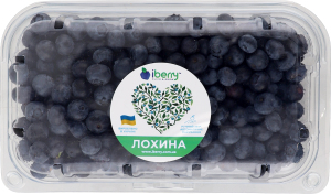 Голубика садовая свежая iBerry 1с п/у 500г