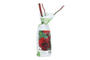 Саженцы Роза плетистая пакет флория