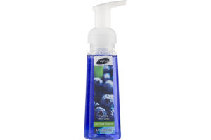 CareOne Foaming Hand Soap Fresh Picked Blueberries