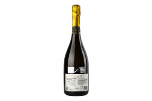 Вино ігр Cavas Hill Panot Gaudi Reserva Brut біле