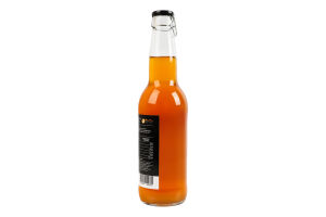 Напій газований ферментований непастеризований Квас Комбуча Wild Kombucha с/пл 330мл