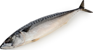 Скумбрія Norsk Delikatesse солоно морожена