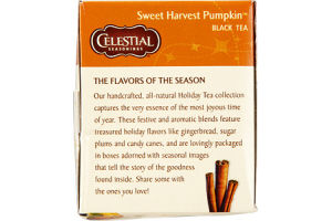 Celestial Seasonings Sweet Harvest Pumpkin Black Tea - 20 CT